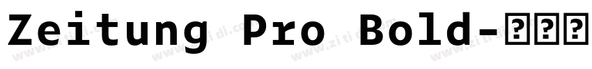 Zeitung Pro Bold字体转换
